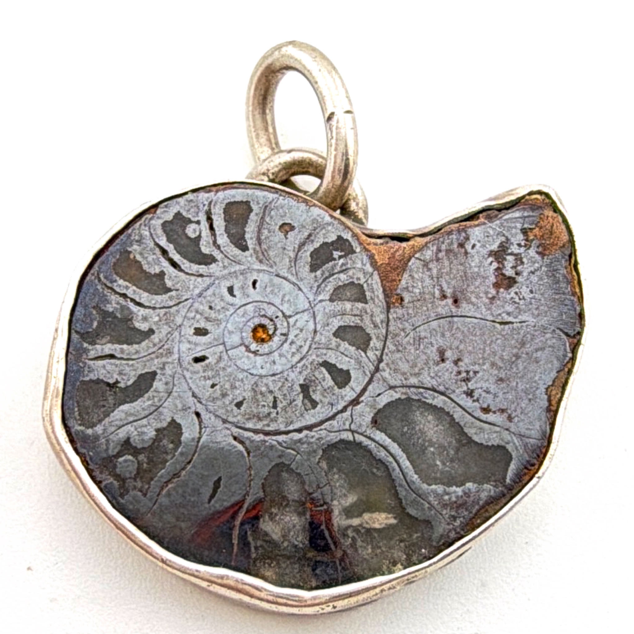 Sterling Polished Ammonite Fossil Slice 1 in Bezel Pendant 4.47g — Front