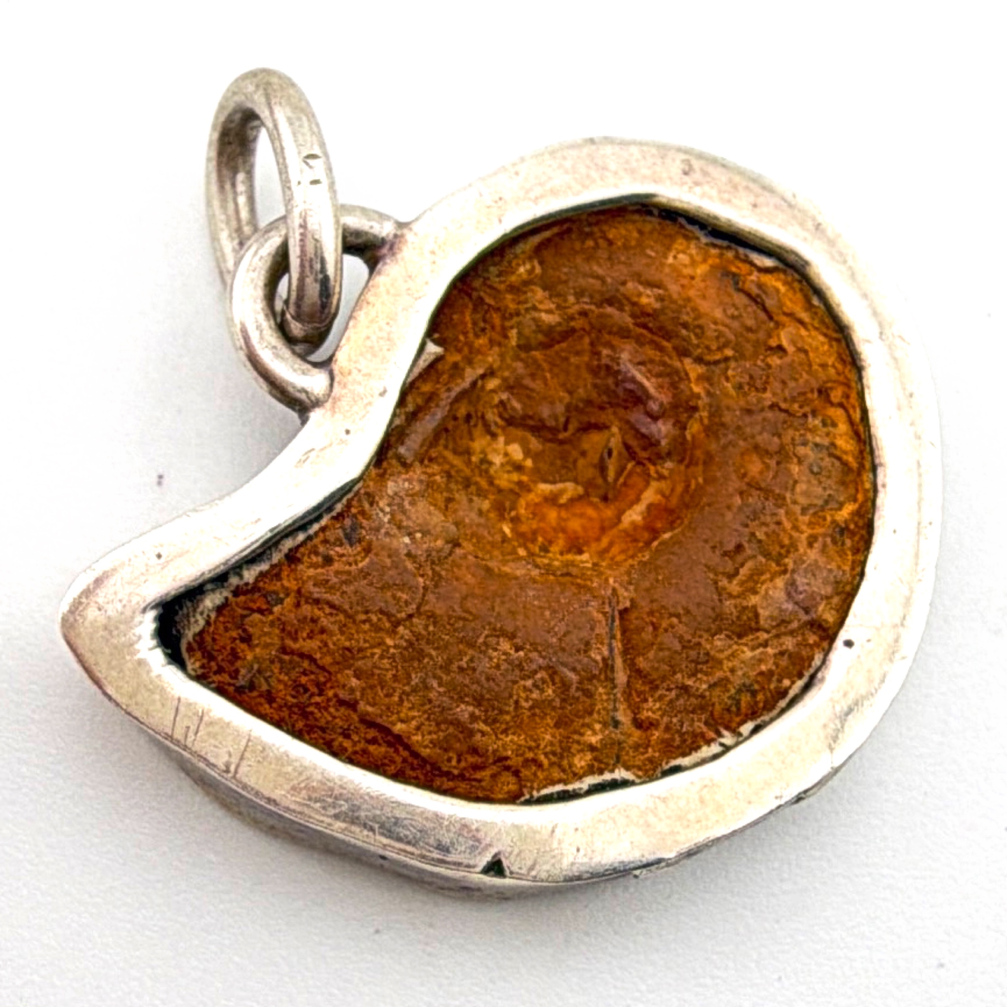 Sterling Polished Ammonite Fossil Slice 1 in Bezel Pendant 4.47g — Side