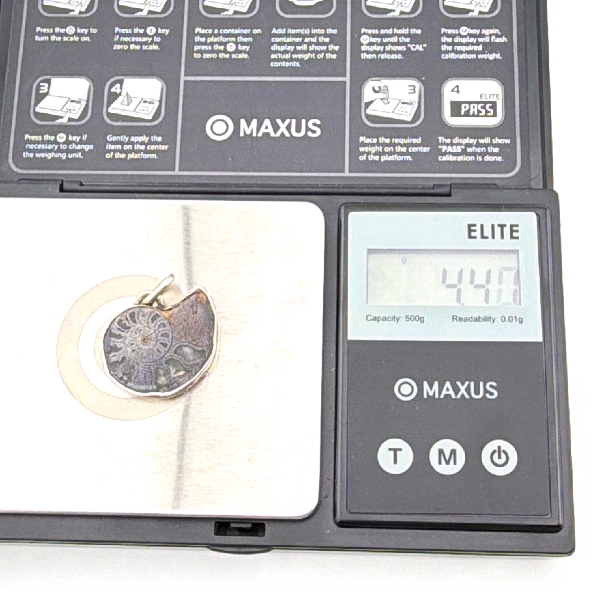 Sterling Polished Ammonite Fossil Slice 1 in Bezel Pendant 4.47g — For scale