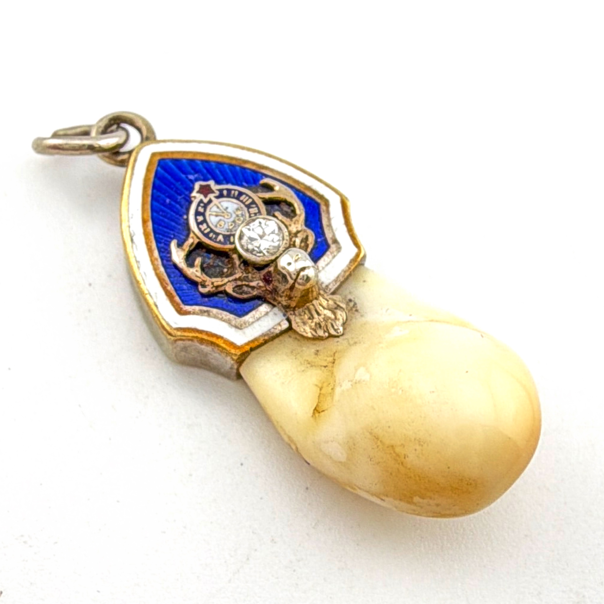 Edwardian 1900s–20s 14K Gold 4.42g Diamond Enamel BPOE Elks Lodge Elk Tooth Pendant