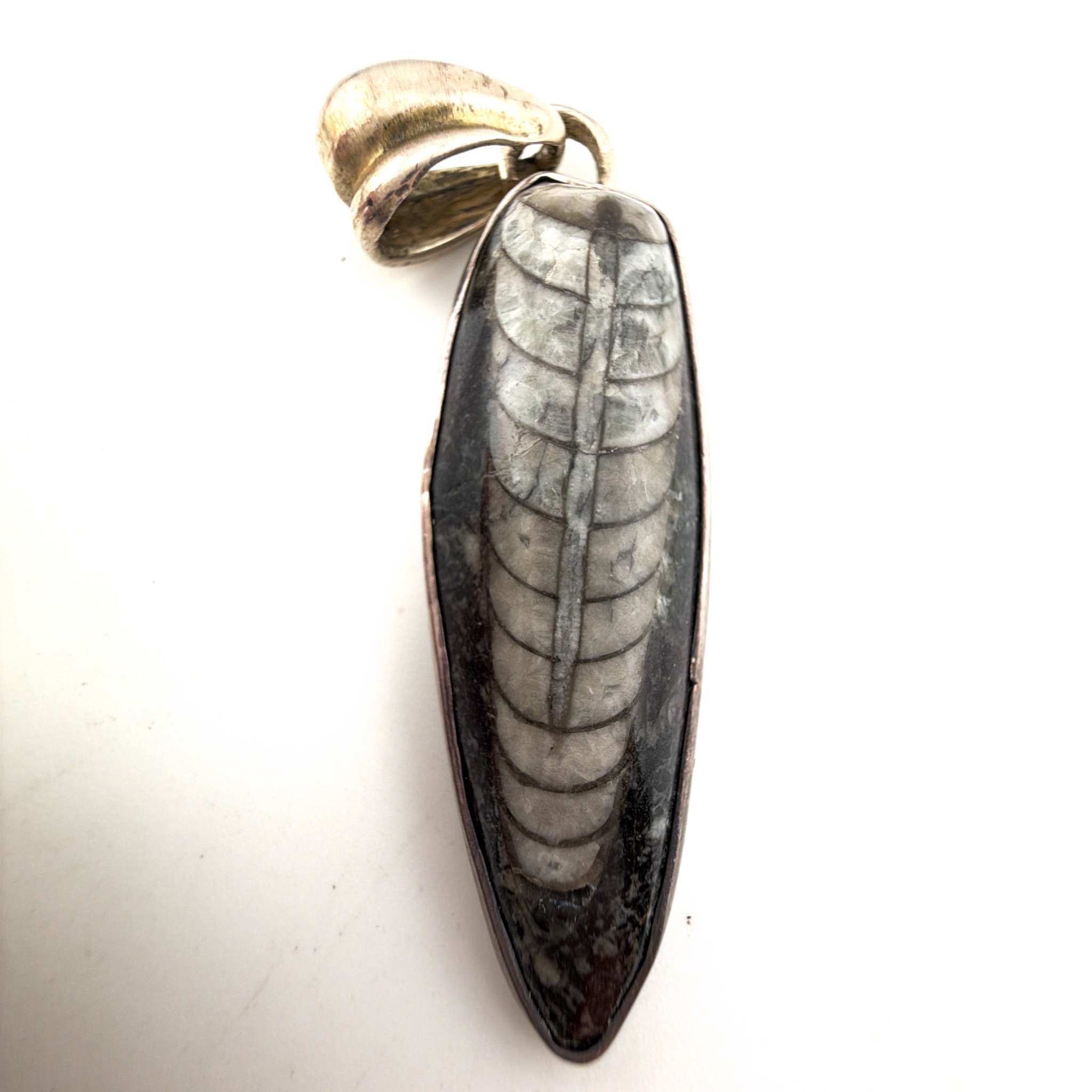 Sterling Silver Orthoceras Fossil Pendant 7.94g — Back